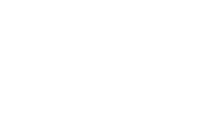 LNF Logo